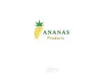 Anans Venture company logo