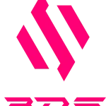 BDS STZ company logo