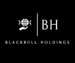 BLACKBULL HOLDINGS company logo