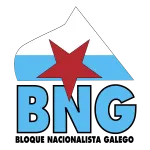 BNG Infotech Pvt Ltd. company logo