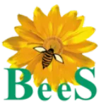 BeeS Software Solutions company logo