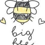 Big Bee Consultant company logo