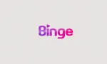 Binge Consulting company logo