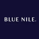 Blue Nile Software Systems Private Limited company logo