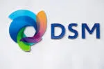 DSM company logo