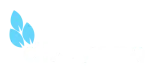 Disayana company logo