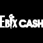 Ebix Payment Services Pvt Ltd company logo