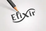 Elixir Softech Pvt. Ltd company logo