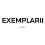 Exemplarii Consulting LLP company logo