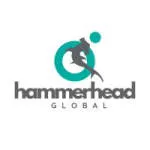 Hammer head experiences Pvt Ltd company logo