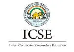 ICSE INSTITUTE company logo