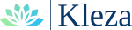 Kleza Solutions Pvt Ltd company logo