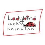 Ladybird Web Solution Pvt Ltd company logo