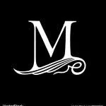 M M Public School company logo