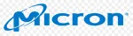 Micron company logo