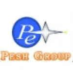 PESH Group company logo