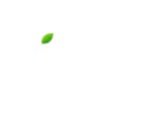 Pomelo Digital India company logo