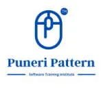 Puneri Pattern Pvt. Ltd. company logo