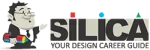 SILICA Institute company logo