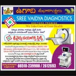 Sree VSV micro diagnosis center company logo