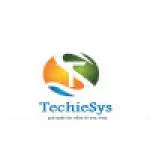 Techiesys company logo