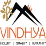 vindhya E-infomidiya PVT LTD company logo