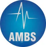 Aarya Medical Billing Services company logo