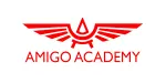 Amigo Academy PVT LTD company logo