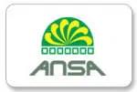 Ansapack Pvt Ltd company logo