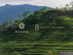 Avana Resort company logo