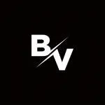 BV company logo