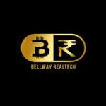 Bellway Realtech company logo