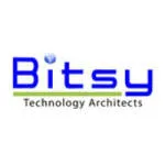 Bitsy Infotech Pvt Ltd. company logo