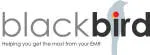 BlackBird Solutions company logo