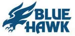 Blue Hawk Corporates company logo