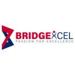 Bridgexcel innovations pvt ltd company logo