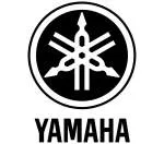 CAG Yamaha company logo