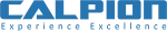 Calpion Software Technologies company logo