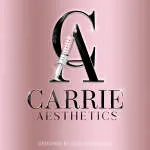 DESIGN ESTHETICS company logo