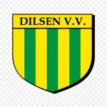 Dilsen Autoplast india pvt ltd company logo