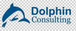 Dolphin consultans company logo