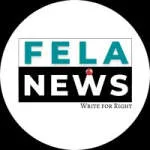 FELA NEWS company logo