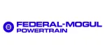 Federal Mogul Powertrain India Ltd. company logo