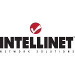 Intellinet Systems company logo