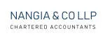 Nangia & Co LLP company logo