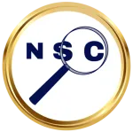 NetSysCon Consulting (Hiring for high growth... company logo