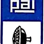 PAI AUTOMOBILES company logo