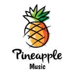 Pineapple Guest House company logo