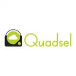 Quadsel Systems Private Limited company logo