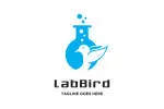 Small Bird labs company logo